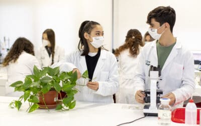 Valores escolares: ejemplos e importancia